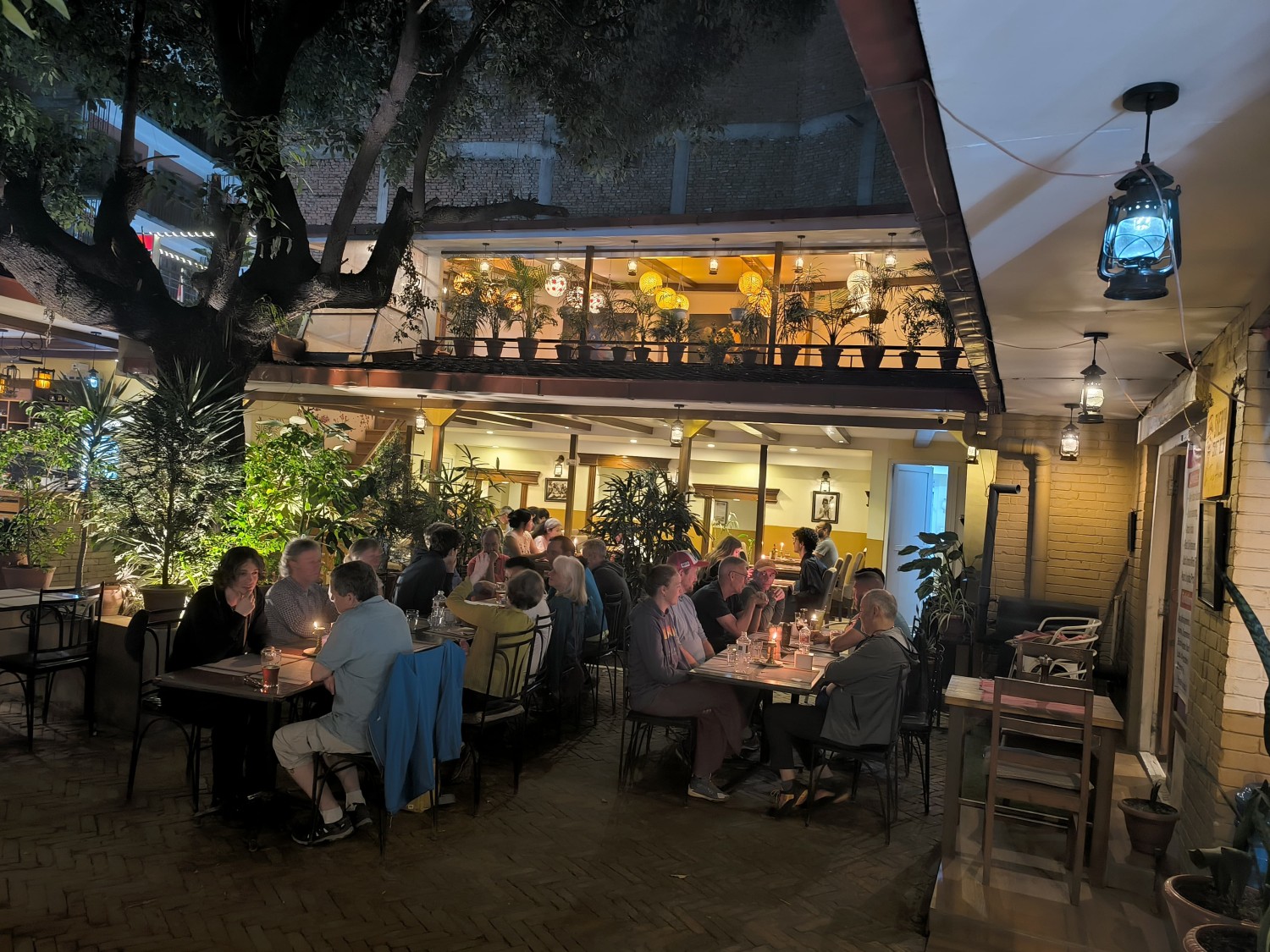 Catch All Live Sports at Rosemary Kitchen — Thamel for NPL & More